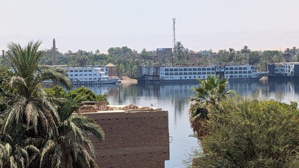 Nilufer in Luxor mit Palmen und einem Flusskreuzfahrtschiff im Hintergrund.